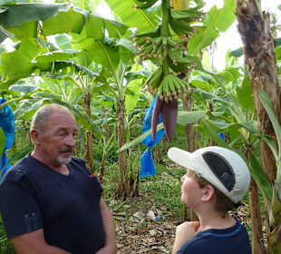 Dieter erklärt die Solarzellen der Bananen