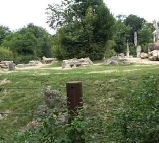 Tierpark Hellabrunn - Reich der Elefanten