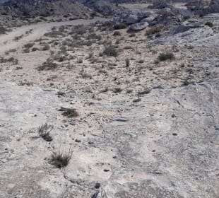 Al Jassasiya Rock Art Site