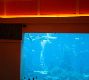 Lost Chambers im Hotel Atlantis