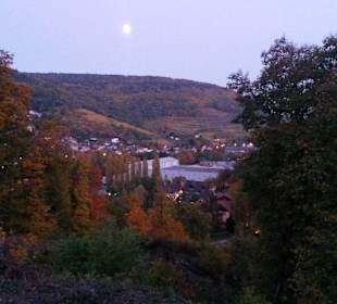 Ausblick von der Ruine