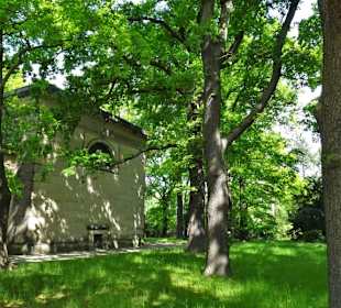 Der Eichenhain um das Mausoleum im Berggarten