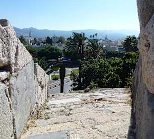 Kos