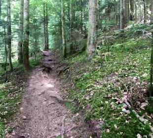 Wandern Schenkenzell