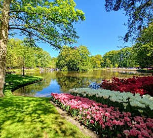 Keukenhof