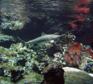 Tierpark Bochum - Impressionen