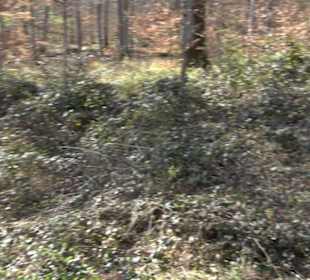 Rotwilderlebnispfad