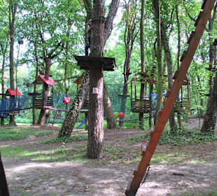 Park Linowy Bluszcz