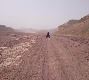 Quad Tour Safaga