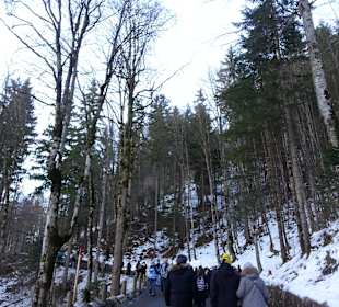 Alpine route towards Neuschwanstein Castle