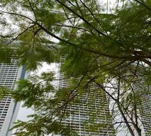 Skypark Marina Bay Sands