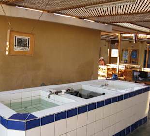 Becken zum Spülen des Equipments