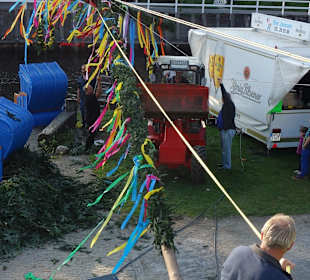 Aufstellen des Maibaums im Hafen