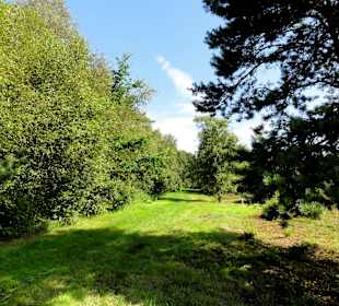 Impressionen vom Moorerlebnispfad