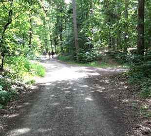 Schutzgebiet Spitzberg, Pfaffenberg