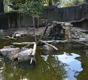 Zoo