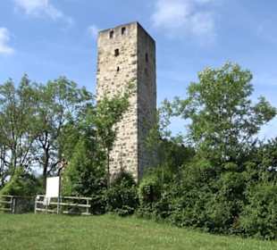 Burgruine Niederhaus