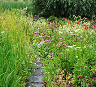 Rundgang durch den Kräuterlehr- und Schaugarten