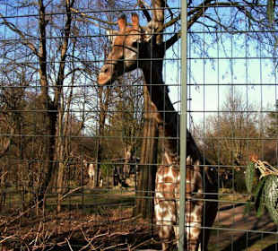 Zoo Dortmund - Die Tiere