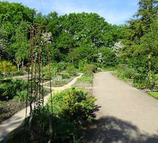 Der Bremer Botanische Garten im Mai