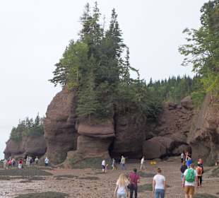 Teilansicht der Hopewell Rocks