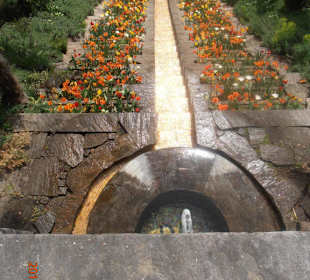 Schöne Blumentreppe