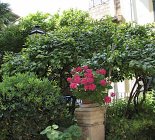 Palma Altstadt Arabische Bäder ca 1000 Jahre alt.