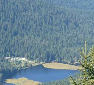 Bei unserer Wanderung zum / am Kleinen Arber