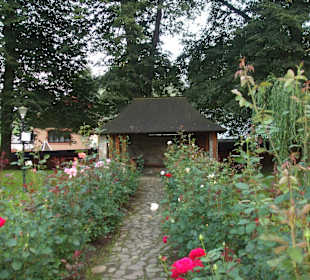 Manastirea Humorului