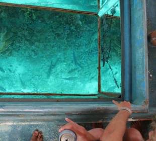 Sicht aus dem Glasboot