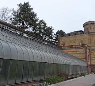 Schloss Karlsruhe Botanischer Garten