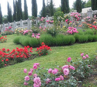 Stare miasto Tbilisi