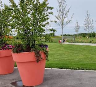 Gewaltige Blumenkübel