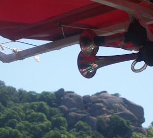 Löwenkopf am Ropotamofluss