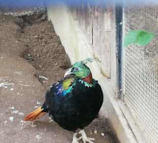 Kann ich mich so zeigen