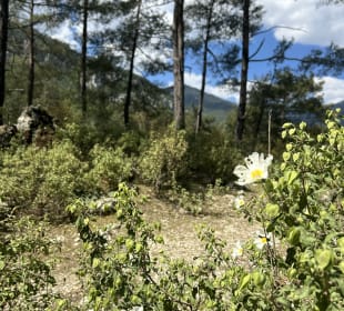 Wandern Beldibi