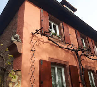 Rhodt unter Rietburg