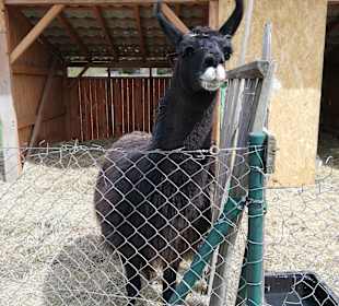 Freilichtmuseum Pstrążna