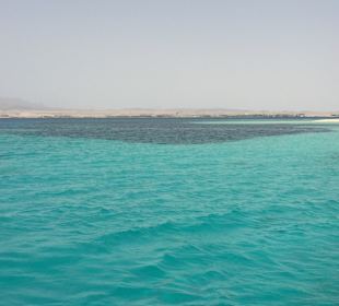 Schnorcheln Soma Bay