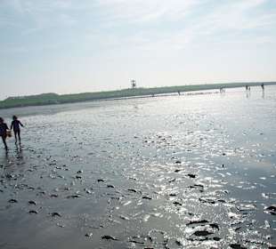 Das Friedrichskooger Watt