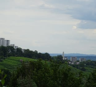 Im und ums Tapachtal