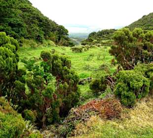 Inselrundfahrt Terceira