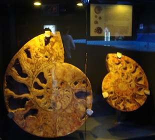 CretAquarium