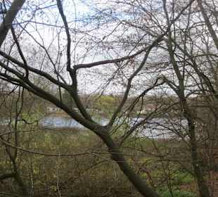 An der Lochmühle Lingenfeld