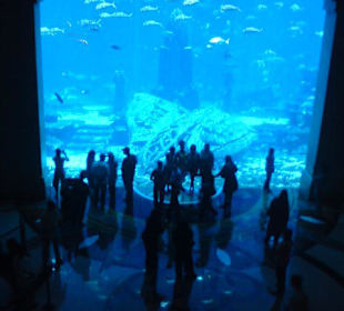 Atlantis the Palm II