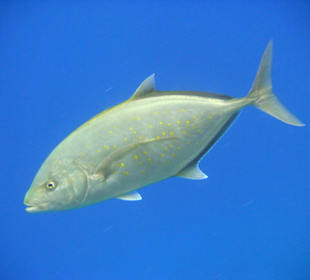 Still halten für's Foto