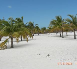 Super Strand Playa Sirena