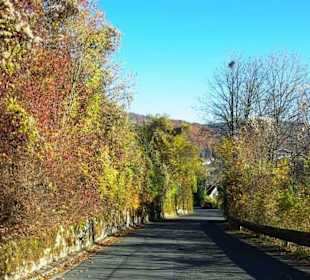 Auffahrt zur Burg