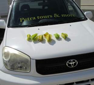 Früchtegeschenk von Einheimischen