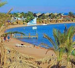 Der traumhafte Strand